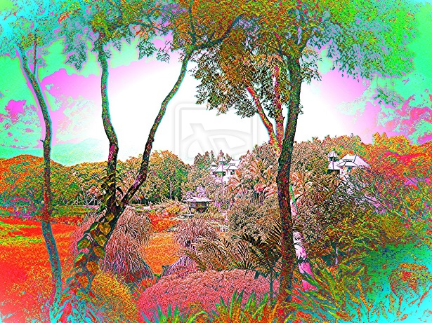 Thailand landscape.jpg